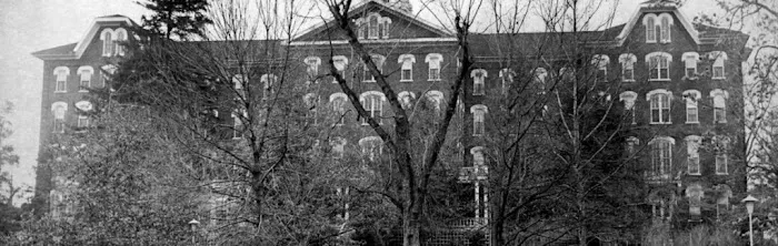 Whitman LLC 0