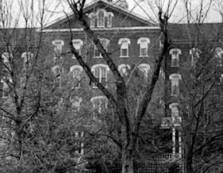 Whitman LLC
