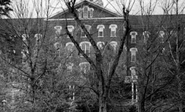 Whitman LLC