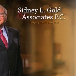 The Gold Law Firm P.C. ico