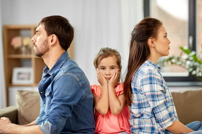 Shapiro Family Law 1
