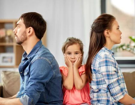 Shapiro Family Law