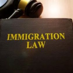 Law Office of Diego J. Weinsetel, APLC ico