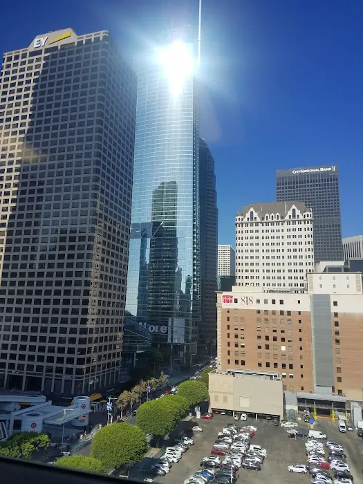 Castellanos & Associates, APLC 7