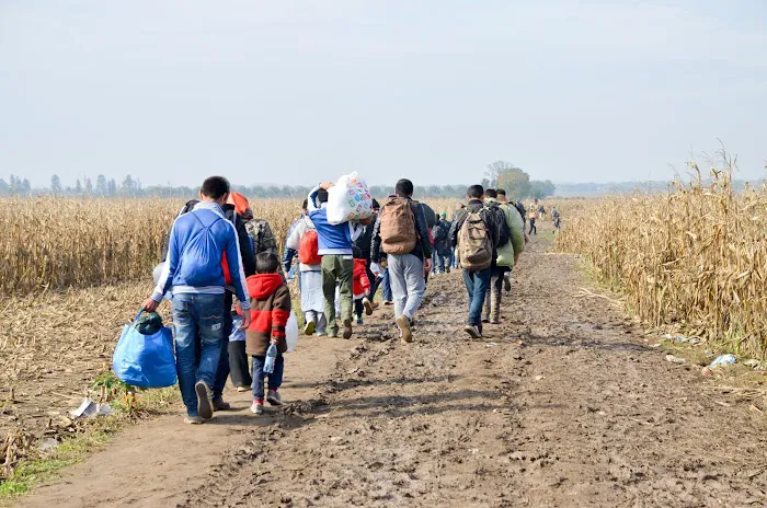 Immigration Counseling Service 4