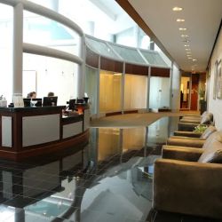 Whiting & Jardine, LLC ico