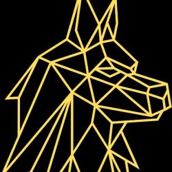 Deesing Law ico
