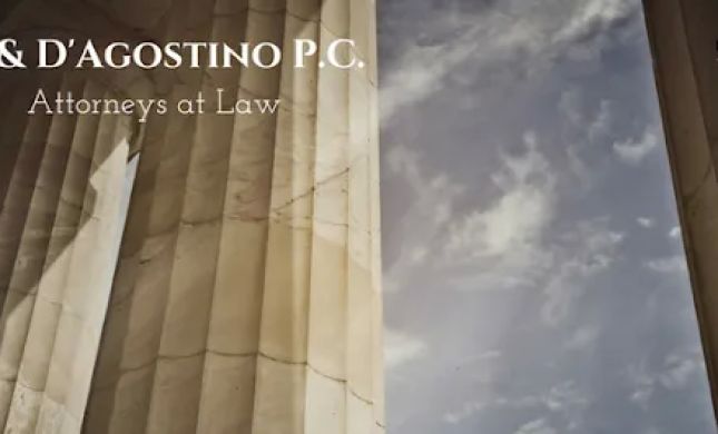 Minerva & D'Agostino PC