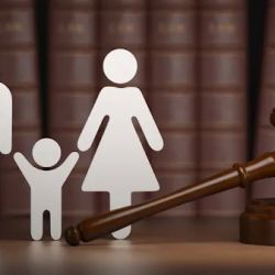 The Law Office of Catrina Young ico