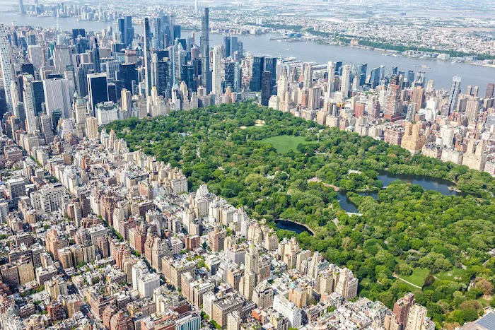 Alejandro Hernandez - Abogado New York 10