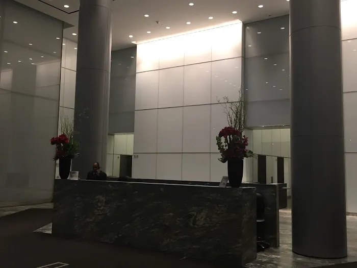 Stephen Bilkis & Associates, PLLC 9