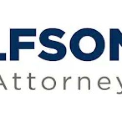 Wolfson & Leon ico
