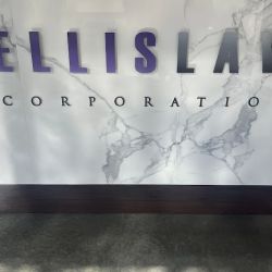 Ellis Law Corporation ico