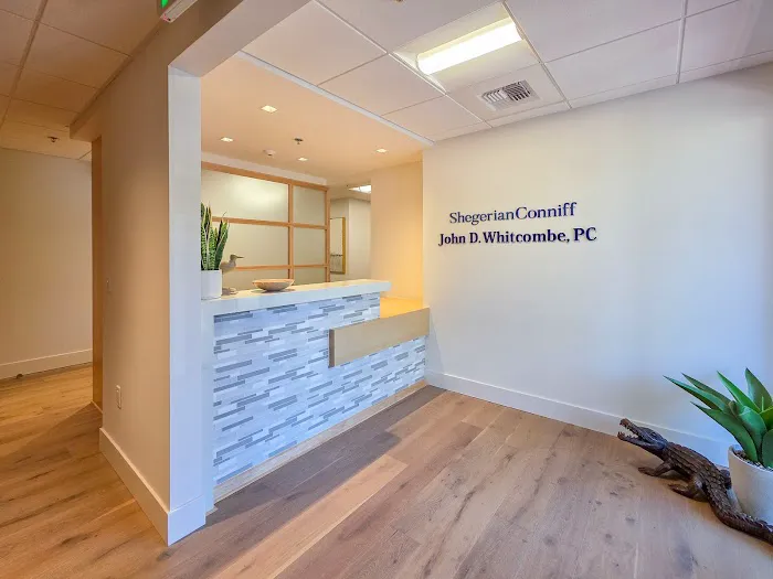 Shegerian Conniff LLP 5