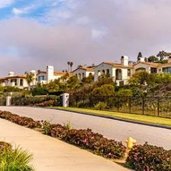 Law Offices of Sherry Anne Lear ico