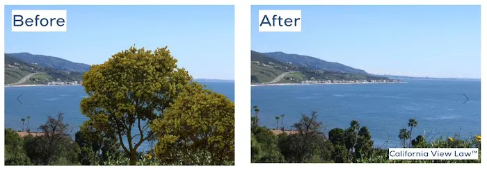 California View Law 2