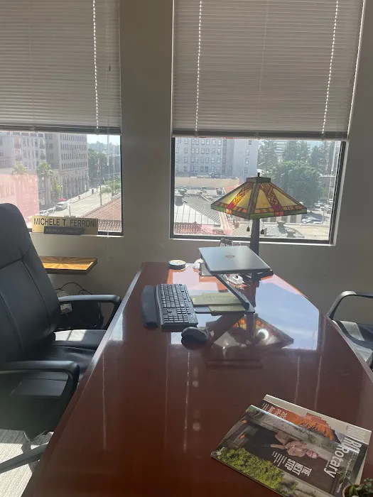 Michele Ferroni Attorney at Law | Pasadena Criminal Attorney 8