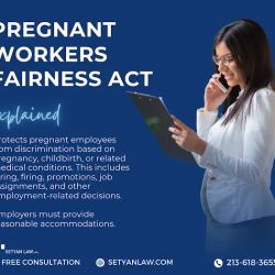 Setyan Law - Pasadena Employment Lawyers ico