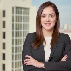 Diane Perez, P.A. ico