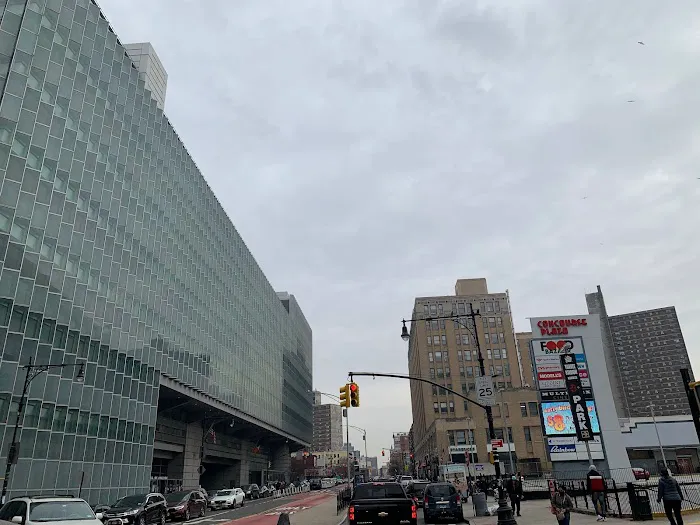 Bronx Personal Injury Attorney at Law, Brandon J. Broderick 8