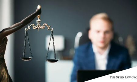 The Stein Law Group