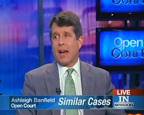 Peter J. Schaffer, Bronx Criminal Lawyer 3