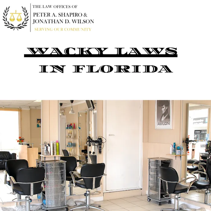 The Law Offices of Peter A. Shapiro & Jonathan D. Wilson 8