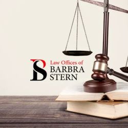 Barbra Stern, P.A. ico