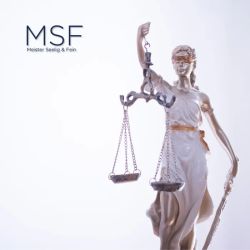 Mitchell Schuster ico