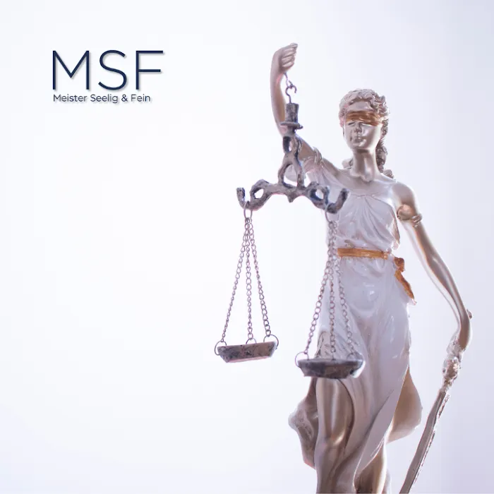 Meister Seelig & Fein PLLC 2