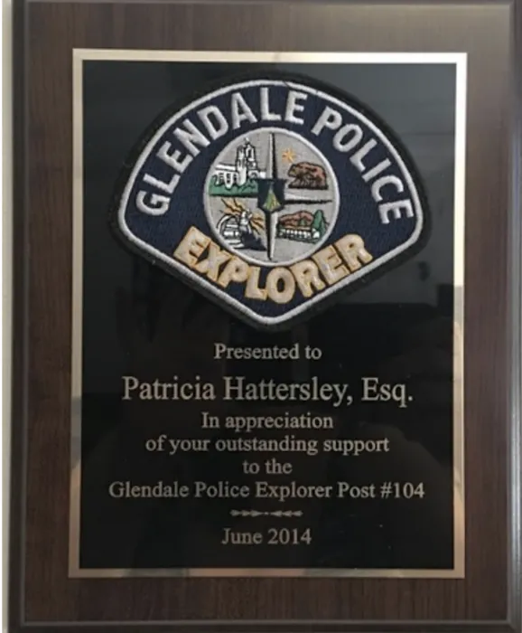 Immediate Juvenile Defense Attorney Patricia Hattersley 2