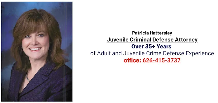 Immediate Criminal Defense and Juvenile Defense Attorney Since 1983 1