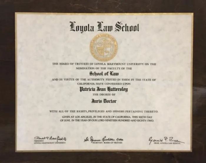 Immediate Criminal Defense and Juvenile Defense Attorney Since 1983 4