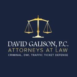 The Law Firm of David Galison, P.C. ico