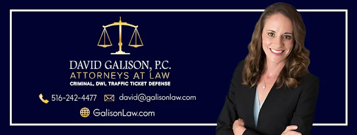 The Law Firm of David Galison, P.C. 2