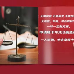 凯达移民法律事务所 Triumph Immigration Service ico