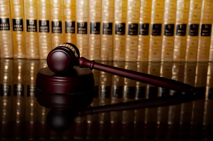 Danna Magloire, LLC 6