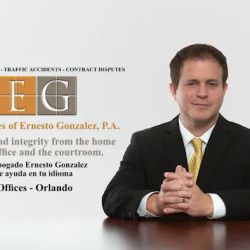 Law Offices of Ernesto Gonzalez P.A. ico