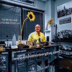 Allan Weinberg, Esq. ico