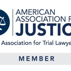 Lion Injury Law - Sexual Abuse Attorney ico