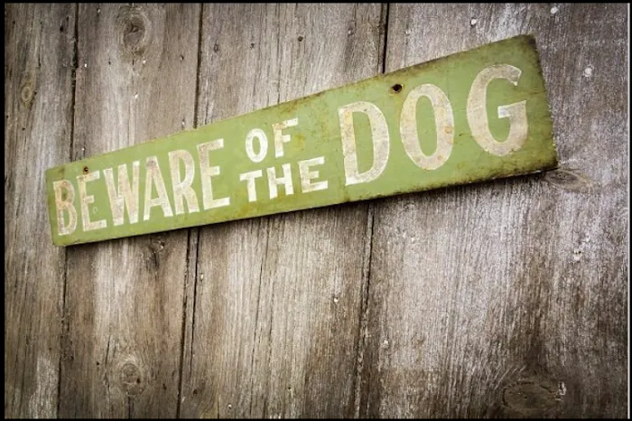 The PA Dog Bite Lawyer Jeffrey H. Penneys, P.C. 9