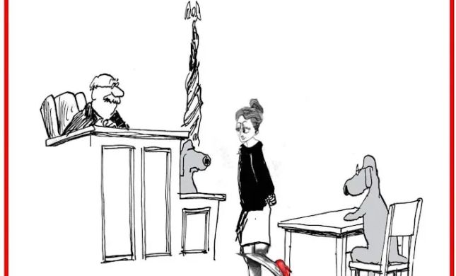 Wiggins Law, LLC