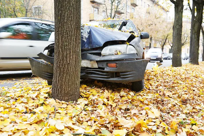 Wilk Law Personal Injury & Car Accident Lawyers 10