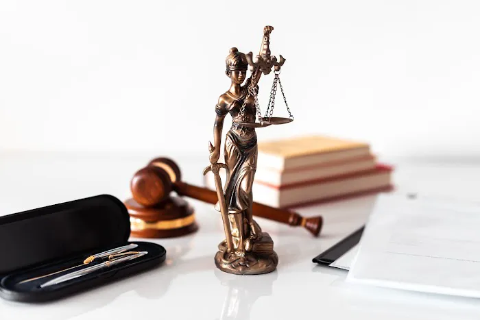 Law Offices of Amir Soleimanian & Associates, Inc. 8