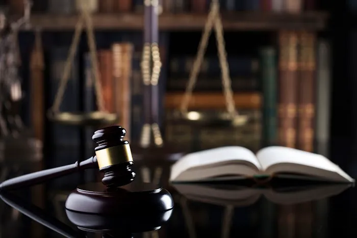 Khanuja Law 4
