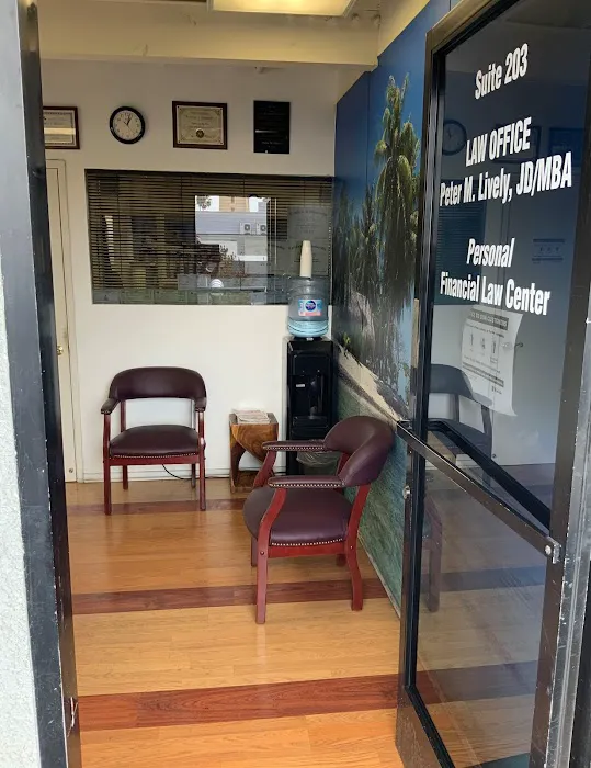 Law Office of Peter M. Lively 4