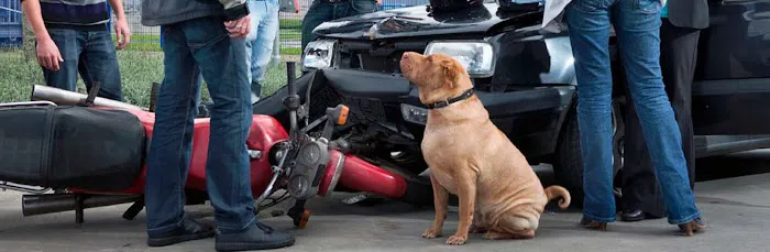 San Diego Accident Law Center 1