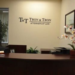 Tron & Tron ico