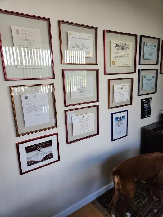 Tristan teGroen Law - A family law firm. 8