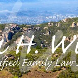 Law Offices of Susan H. Witting ico